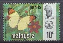 [Butterflies, type BI]