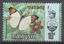 [Sultan Abu Bakar & Butterflies, タイプ AM]