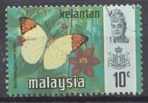 [Sultan Abu Bakar & Butterflies, タイプ AM]