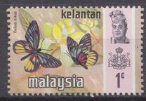 [Butterflies, סוג AM]