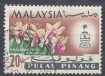 [Orchids, प्रकार AL]