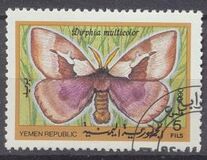 [Moths and Butterflies, Tip M]