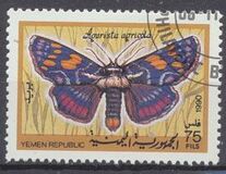 [Moths and Butterflies, Tip R]