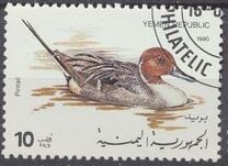 [Birds - Ducks, type D]