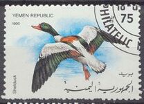 [Birds - Ducks, type H]