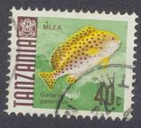 [Marine Life - Fish, type V]