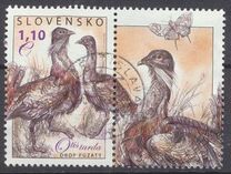 [Birds - Great Bustard, type VK]