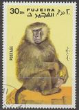 [Apes and Monkeys, Tip ABC]