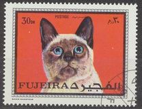 [Cats, loại UY]