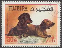 [Dogs, typ VL]