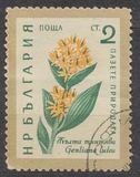 [Flowers, type AJU]