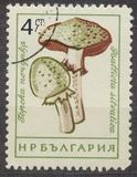 [Mushrooms, ประเภท ANQ]