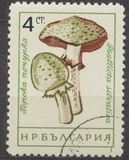 [Mushrooms, ประเภท ANQ]