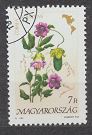 [Flowers of America, typ EVV]