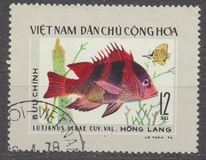 [Fish, type B]