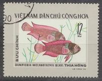 [Fish, type C]