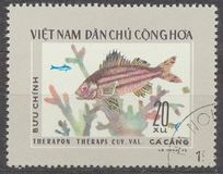 [Fish, type D]