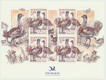 [Birds - Great Bustard, प्रकार VK]