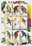 [Fauna - Mountain Gorillas, type AXU]