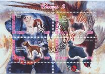[Scouts with Cats & Dogs, veids CDN1]
