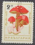 [Mushrooms, type ANP]
