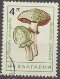 [Mushrooms, type ANQ]
