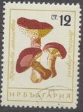 [Mushrooms, type ANR]