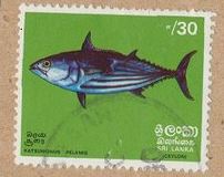 [Fish, տեսակ F]