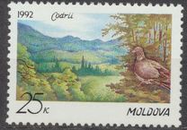 [Codri Nature Reserve, type C]