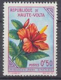 [Flowers, Tipe AZ]