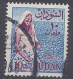 [Local Motives, type BG]