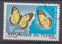 [Butterflies, タイプ DL]