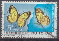 [Butterflies, タイプ DL]