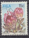 [Flora - Protea Plants, тип PQ]