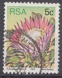 [Flora - Protea Plants, тип PK]