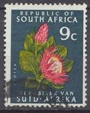 [Local Motifs, type LK1]