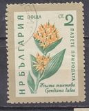 [Flowers, type AJU]