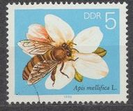 [Honey Bees, Tipe DFR]