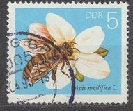 [Honey Bees, Tipe DFR]