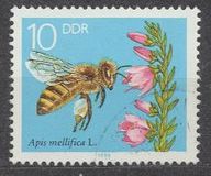 [Honey Bees, Tipe DFS]