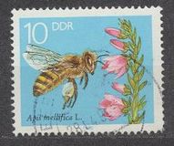 [Honey Bees, Tipe DFS]