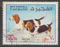 [Dogs, typ VM]