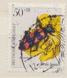 [Youth Hostel Charity - Insects & Flowers, type AKP]