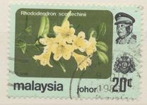 [Flowers - Not Watermarked, type BG2]