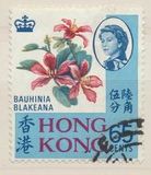 [Local Motives, type BN]