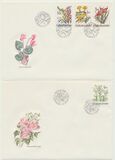 [Flowers, tip CQN]