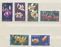 [Flowers - Lilies, type AIH]