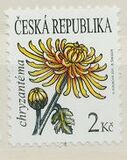 [Flowers - Chrysanthemum, type YY]