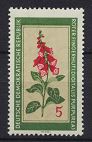 [Medicinal Plants, Tipi OK]