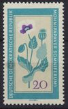[Medicinal Plants, տեսակ ON]